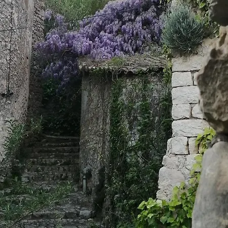 Des Gorges De L'ardeche * Chame