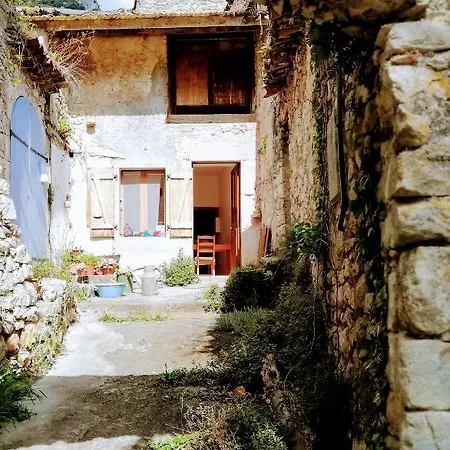 Des Gorges De L'ardeche Chame