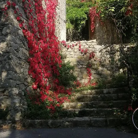 Des Gorges De L'ardeche