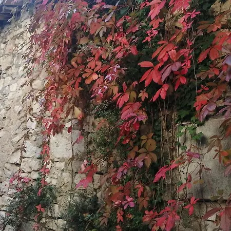 Des Gorges De L'ardeche * Chame