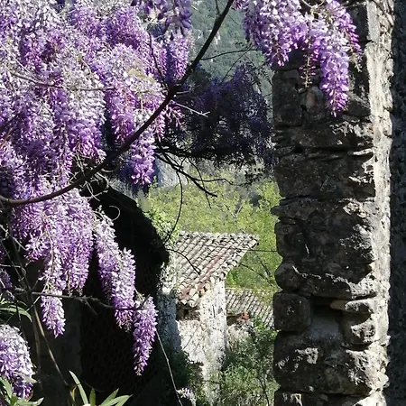 Апартаменты Des Gorges De L'ardeche Chame